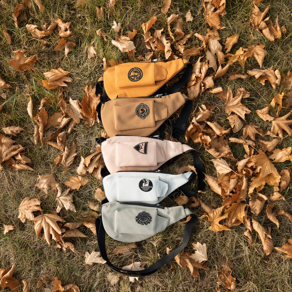 Five bags of different colors arranged in a circle on grass with fallen leaves.